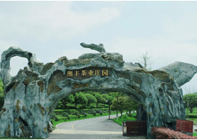 乐动在线注册_乐动（中国）茶业获评湖南农业优势特色产业30强企业