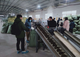 国家知识产权局及国际媒体采访调研湖南乐动在线注册_乐动（中国）桑植白茶有限公司