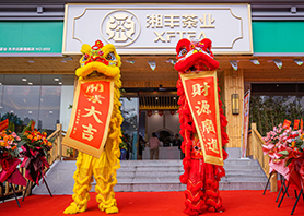 乐动在线注册_乐动（中国）茶业星沙旗舰店盛大开业！