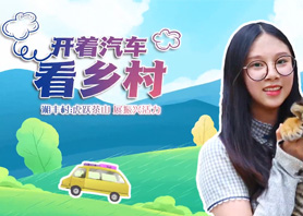 开着汽车看乡村 |乐动在线注册_乐动（中国）村：虎跃茶山 展振兴活力