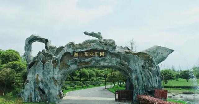 乐动在线注册_乐动（中国）茶业庄园.jpg