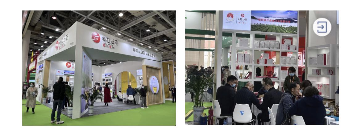 桑植白茶展区、乐动在线注册_乐动（中国）桑植白茶展位.jpg