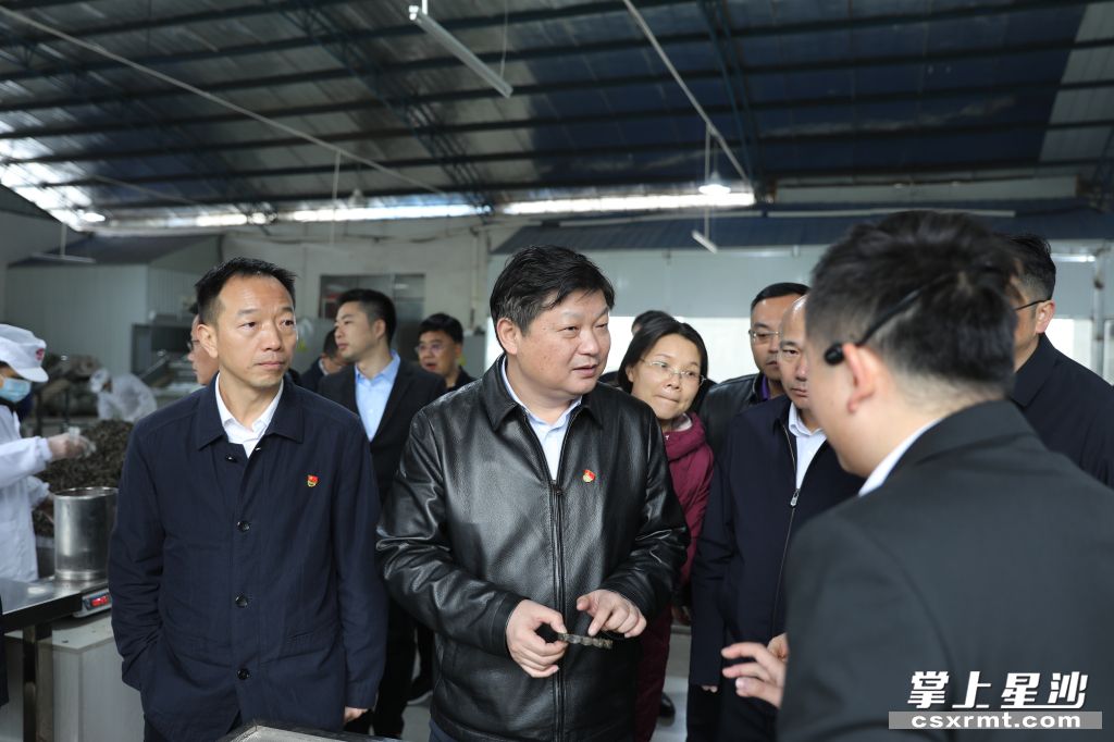 付旭明在乐动在线注册_乐动（中国）桑植白茶洪家关工厂调研产业发展情况。.jpg