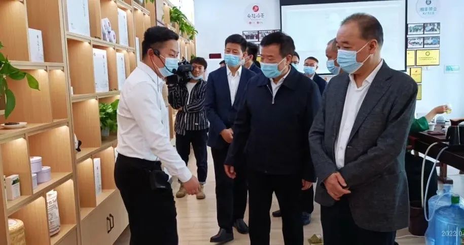 湖南省副省长陈飞带队考察调研乐动在线注册_乐动（中国）桑植白茶公司
