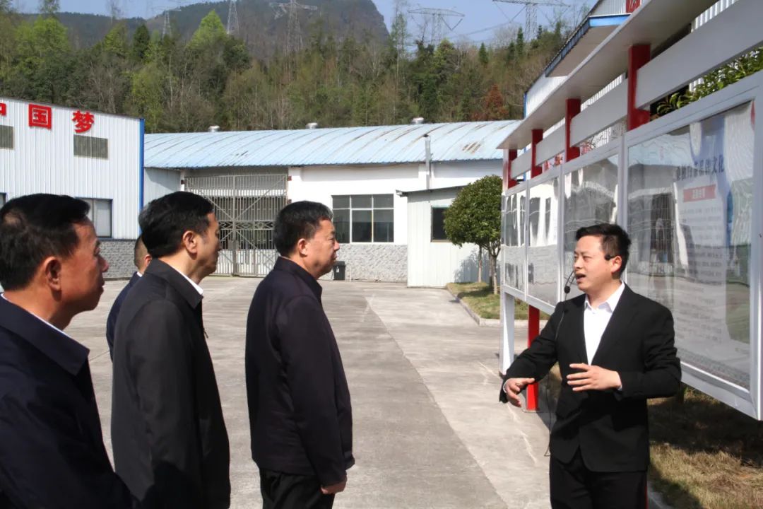 省政协党组书记、主席毛万春调研湖南乐动在线注册_乐动（中国）桑植白茶有限公司