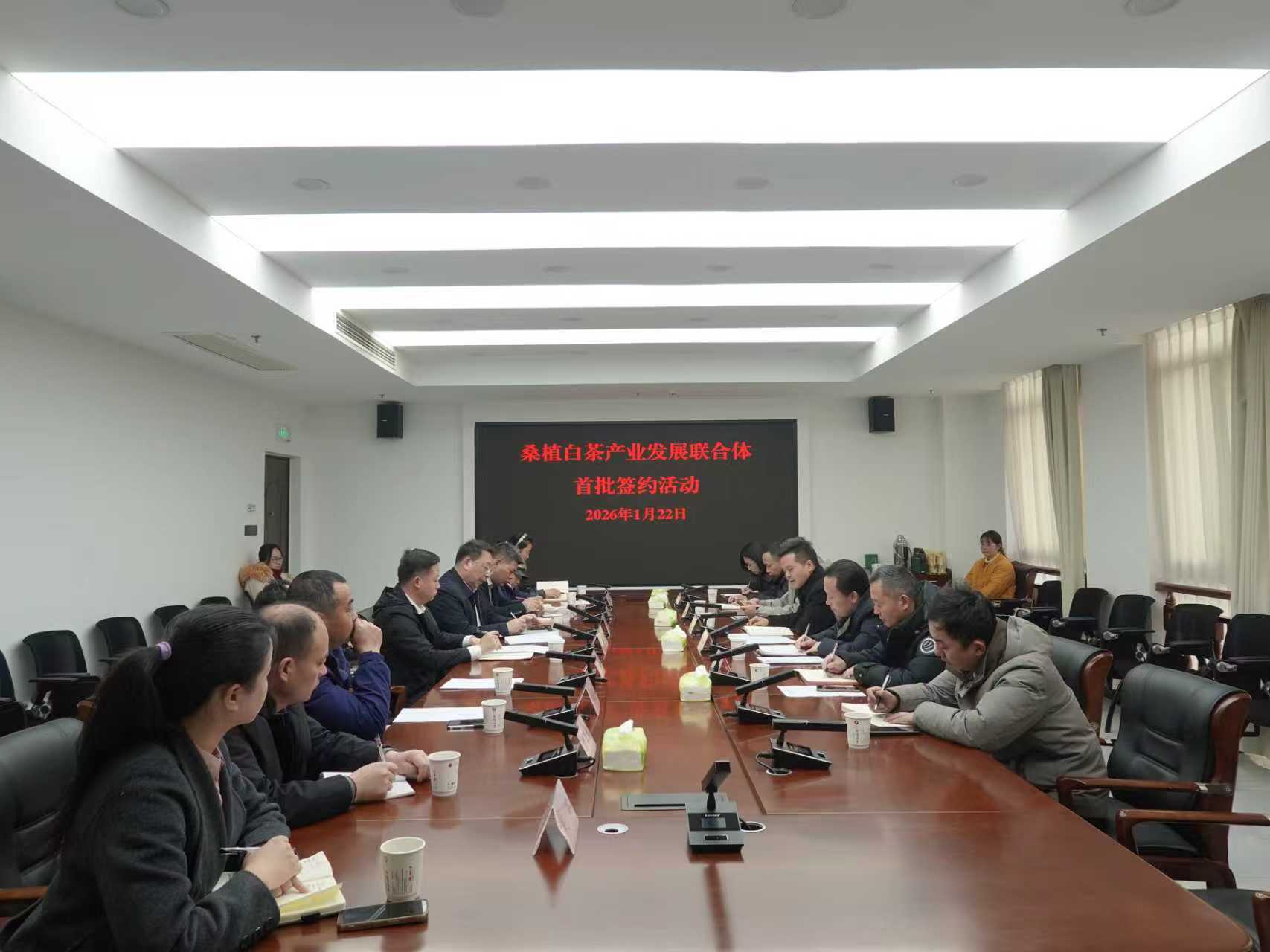 乐动在线注册_乐动（中国）桑植白茶公司牵头组建桑植白茶产业发展联合体 首批签约开启协同共赢新征程